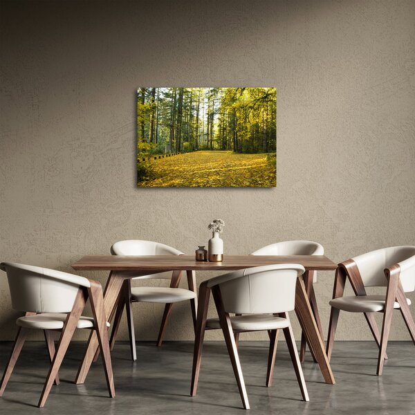 Obraz - les na podzim (70x50 cm)