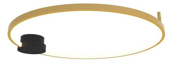 Zambelis 23096 - LED Stmívatelné stropní svítidlo LED/24W/230V 3000K zlatá
