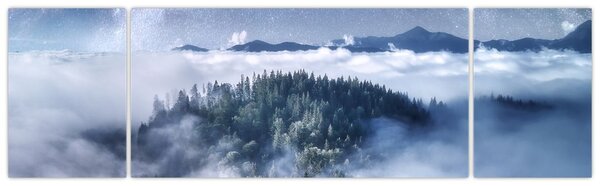 Obraz lesa v mlze (170x50 cm)