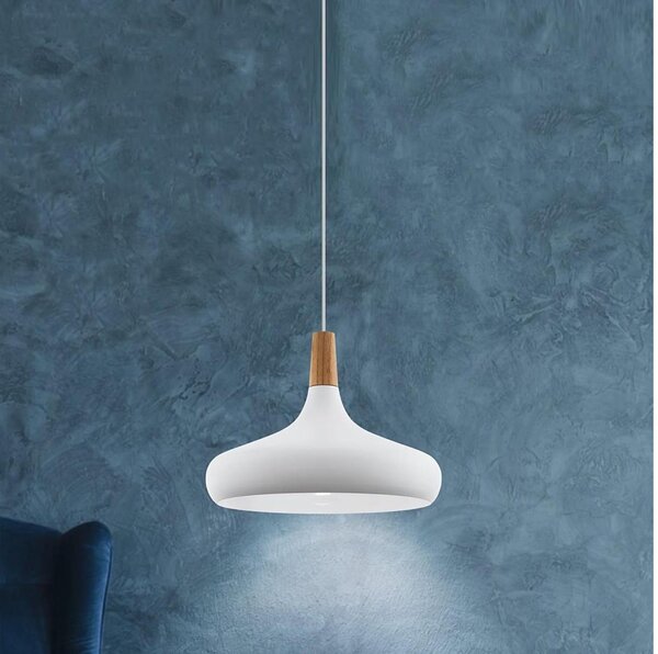 Eglo 901179-Lustr na lanku SABINAR 1xE27/40W/230V pr.40cm bílá-