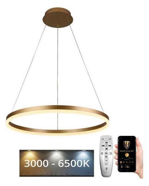 Brilagi - LED Stmívatelný lustr na lanku CIRCLE LED/42W/230V 3000-6500K + DO