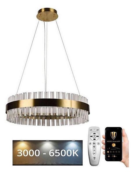 Brilagi - LED Stmívatelný křišťálový lustr na lanku HALO LED/40W/230V + DO