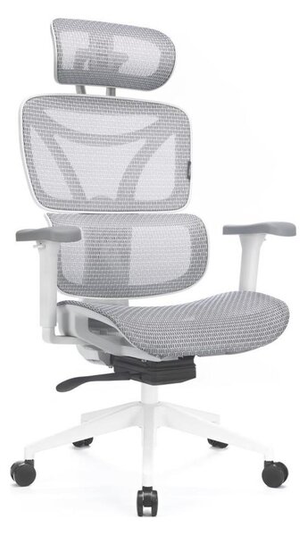 Kancelářská ergonomická židle LEVANO šedá/bílá/černá