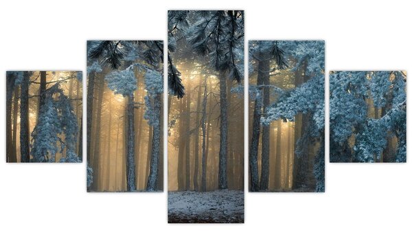 Obraz zasněženého lesa (125x70 cm)