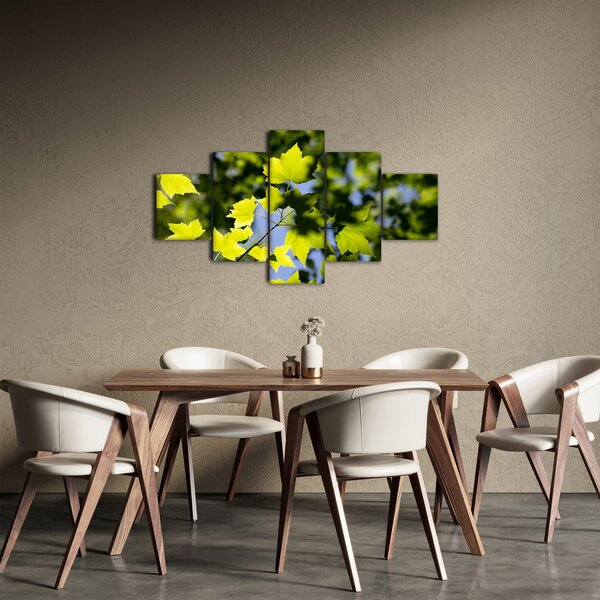 Obraz - javorové listy (125x70 cm)