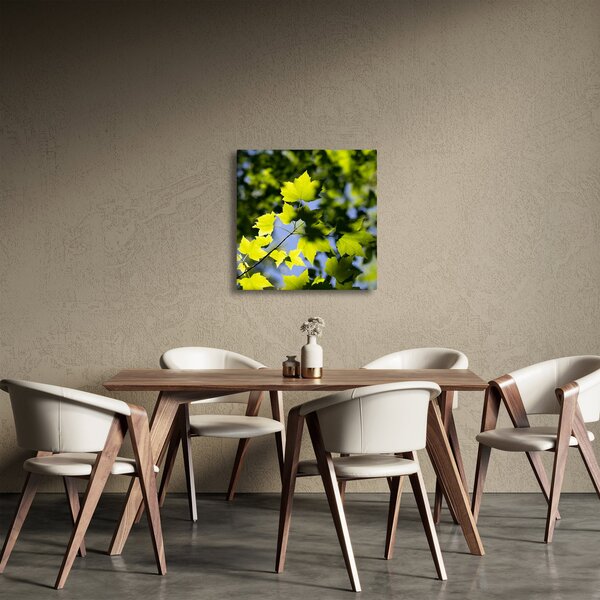 Obraz - javorové listy (30x30 cm)