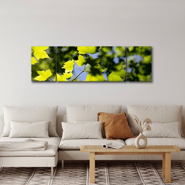 Obraz - javorové listy (170x50 cm)