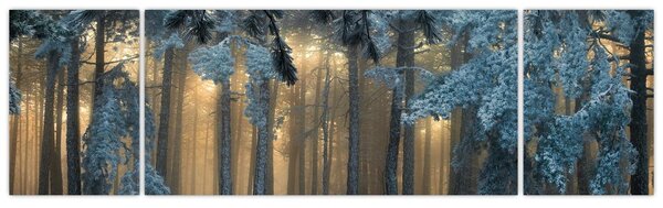 Obraz zasněženého lesa (170x50 cm)