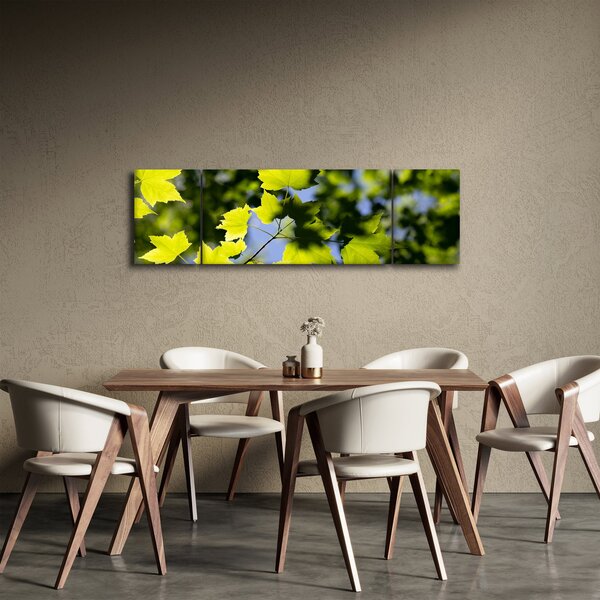 Obraz - javorové listy (170x50 cm)