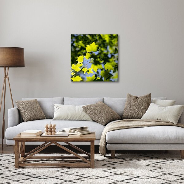 Obraz - javorové listy (30x30 cm)
