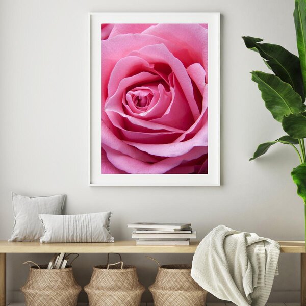 Plakát - Růžová růže (A4)