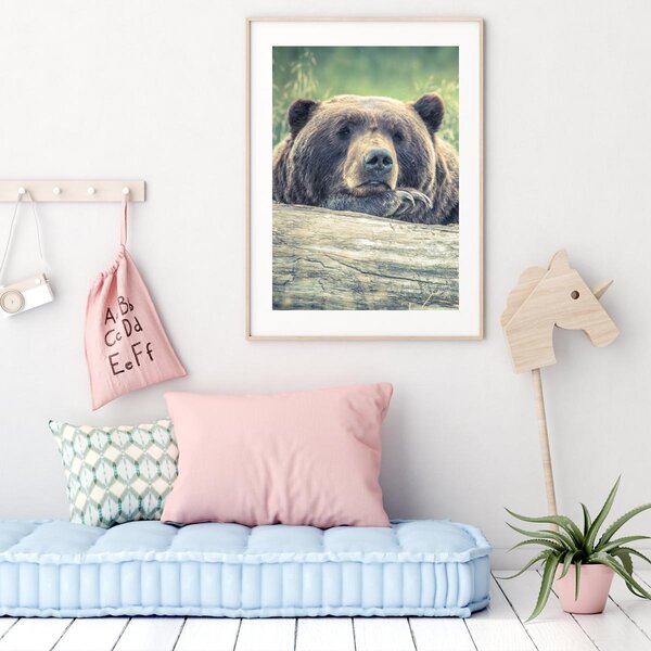 Plakát - Odpočívající medvěd (A4)
