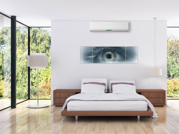Obraz - Pohled oka (170x50 cm)