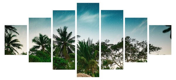 Obraz - palmy (210x100 cm)
