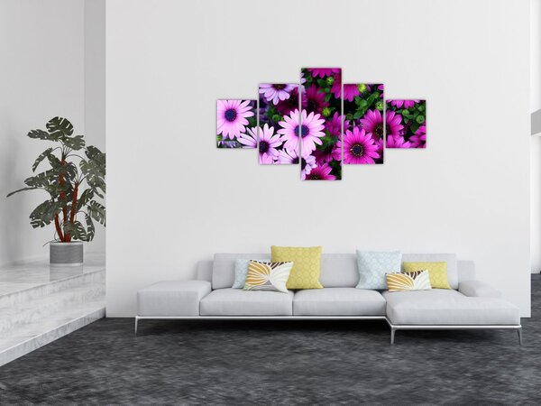 Obraz - Květy (125x70 cm)