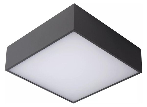 Lucide 27816/10/29 - LED Koupelnové stropní svítidlo ROXANE LED/12W/230V IP54