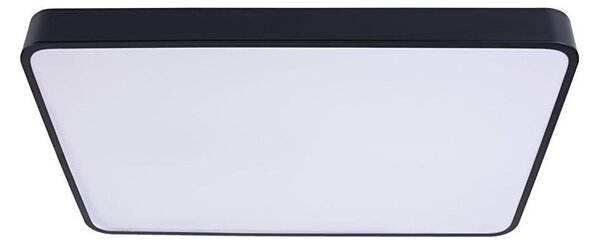 LED Stropní svítidlo FELIZ LED/40W/230V 4000K 40x40 cm černá