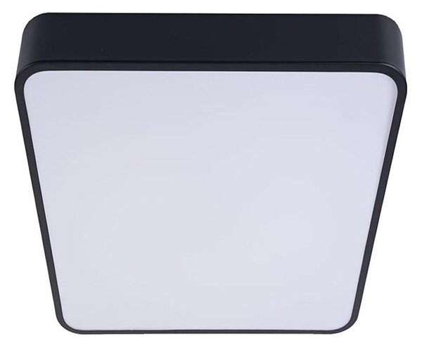 LED Stropní svítidlo FELIZ LED/50W/230V 4000K 40x60 cm černá