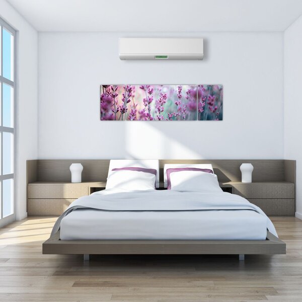 Obraz - Levandule (170x50 cm)