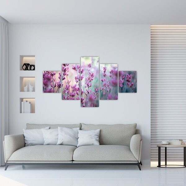 Obraz - Levandule (125x70 cm)