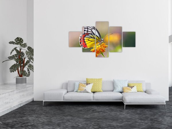 Obraz motýla na květu (125x70 cm)