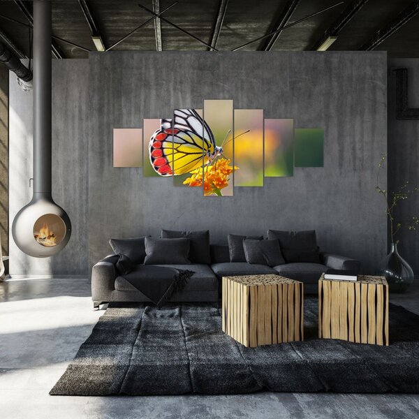 Obraz motýla na květu (210x100 cm)