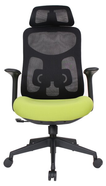 Ergonomická kancelářská židle LERO - černá síťovina / zelená látka / nosnost 150 kg