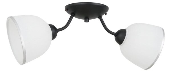 Stropní svítidlo AVIA 2xE27/60W/230V