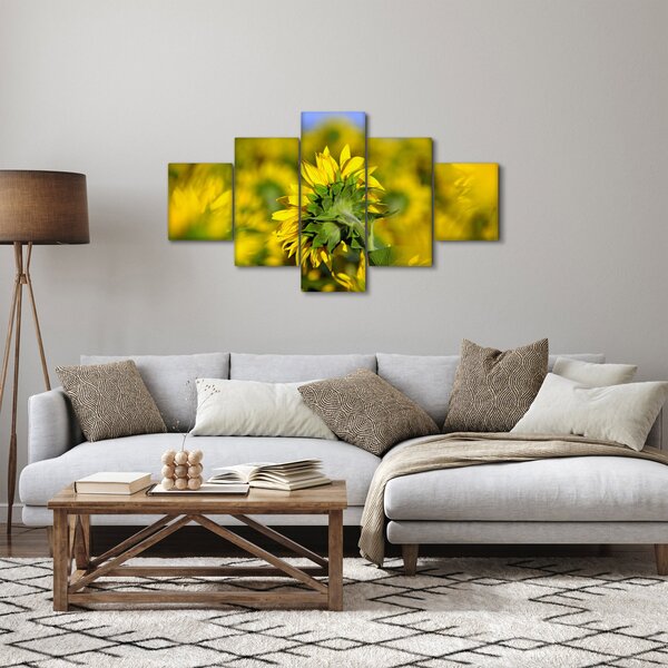 Obraz slunečnice (125x70 cm)