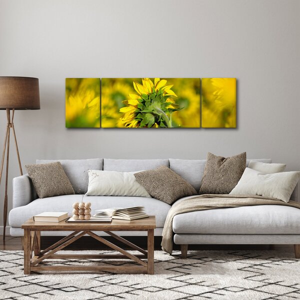 Obraz slunečnice (170x50 cm)