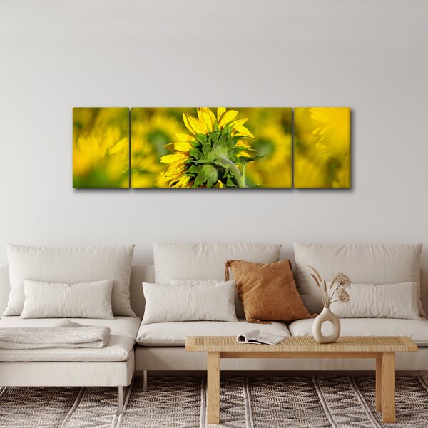 Obraz slunečnice (170x50 cm)