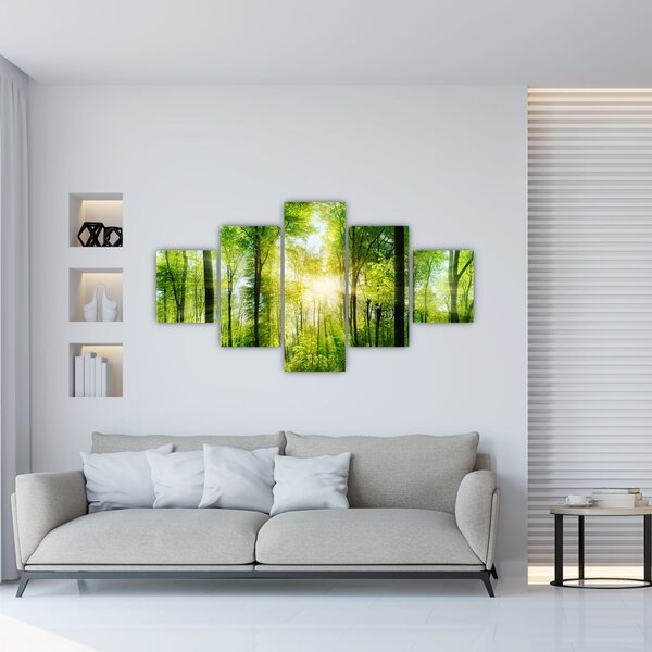 Obraz - Svítání v lese (125x70 cm)