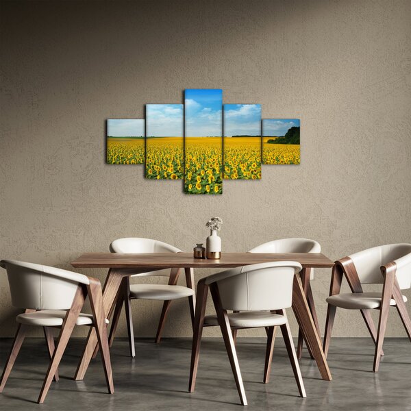 Obraz - lán slunečnic (125x70 cm)