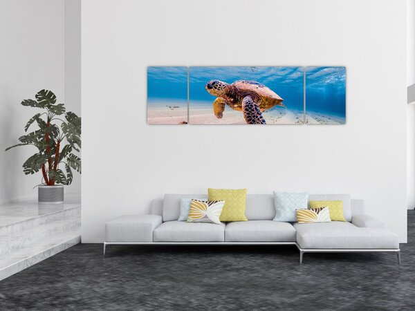 Obraz želvy v oceánu (170x50 cm)