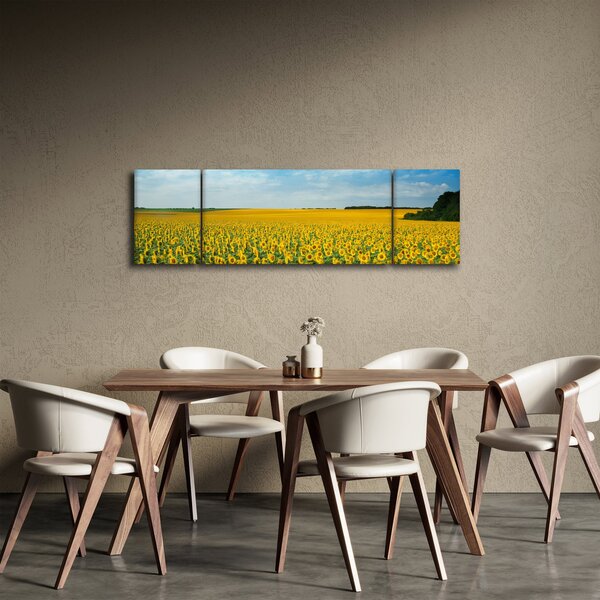 Obraz - lán slunečnic (170x50 cm)