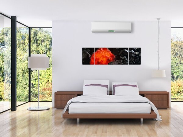 Obraz - Žhnoucí nerost (170x50 cm)