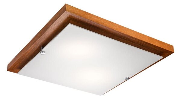 Stropní svítidlo 2xE27/60W/230V