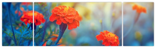 Obraz - Oranžové květy (170x50 cm)