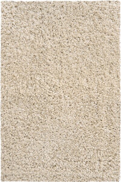 Kusový koberec Bono 8600-110 - 80 x 150