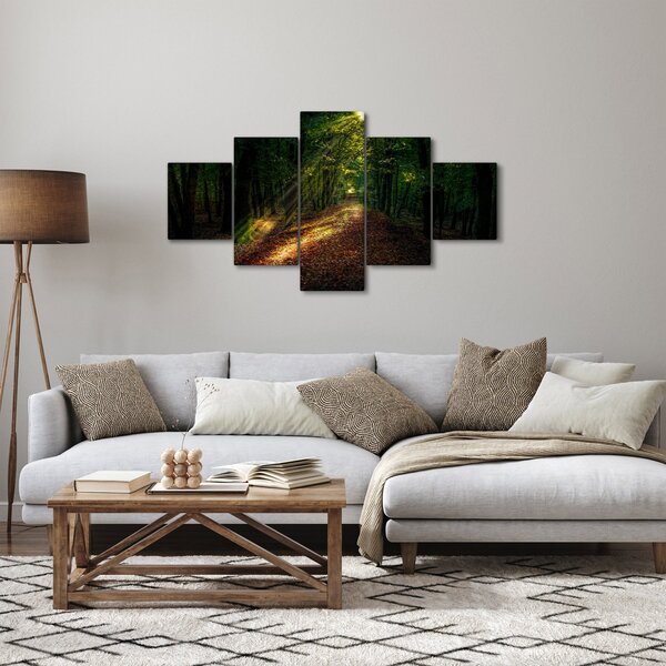 Obraz lesní cesty (125x70 cm)