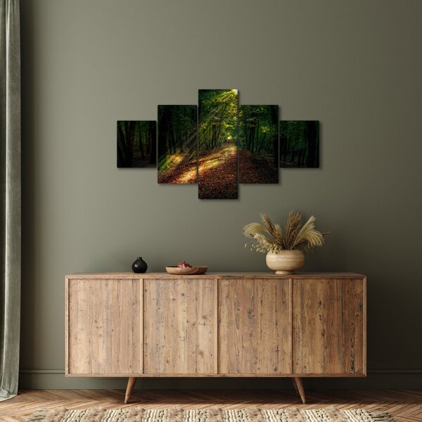 Obraz lesní cesty (125x70 cm)