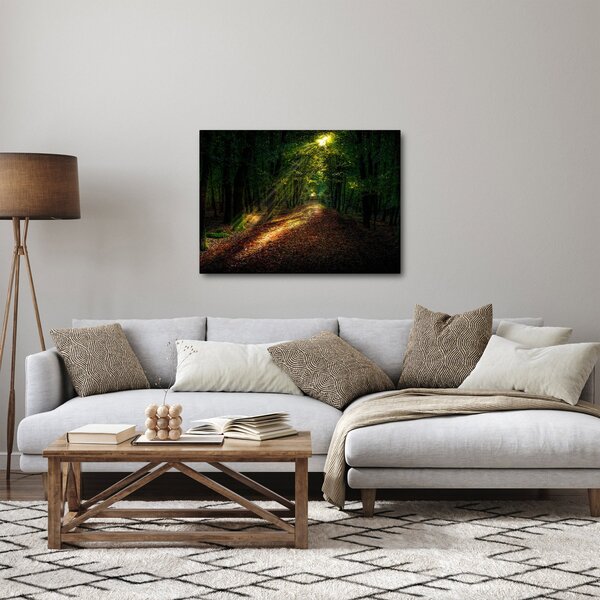 Obraz lesní cesty (70x50 cm)