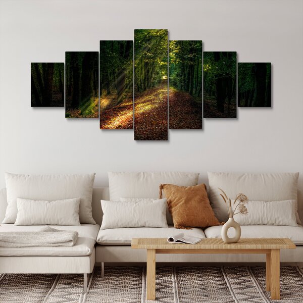 Obraz lesní cesty (210x100 cm)