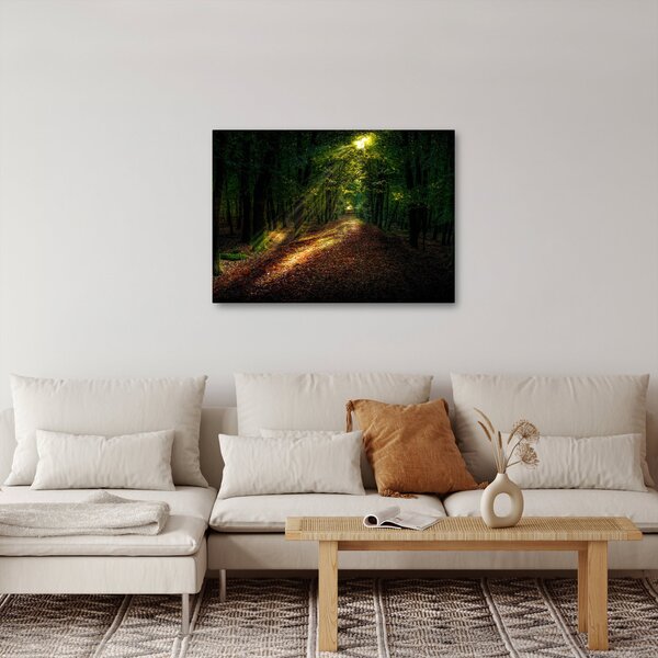 Obraz lesní cesty (70x50 cm)