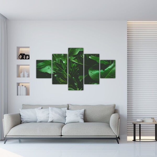 Obraz - Palmové listy (125x70 cm)
