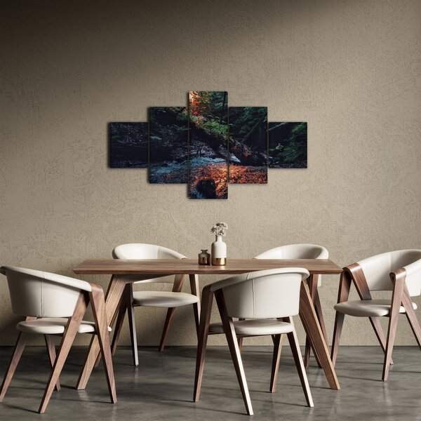 Obraz horské říčky (125x70 cm)