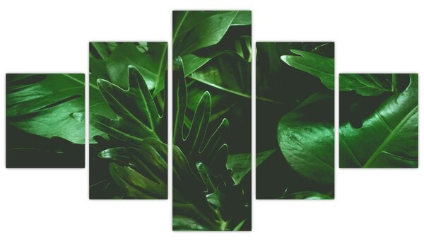 Obraz - Palmové listy (125x70 cm)