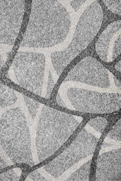 Kusový koberec Fantasy 12558-116 - 80 x 150