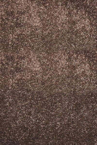 Kusový koberec Fantasy 12500-90 - 80 x 150