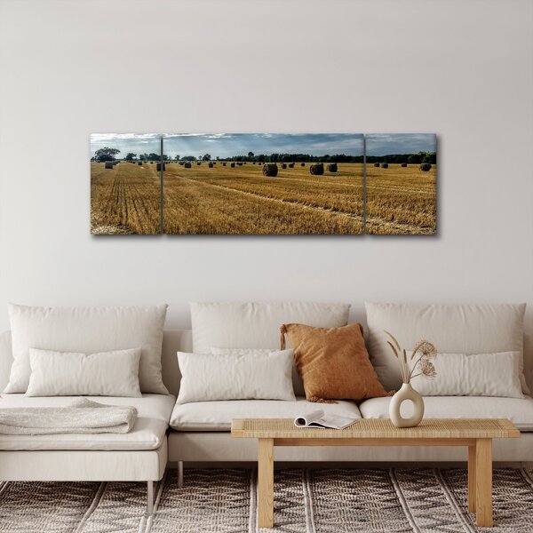 Obraz sklizeného obilného pole (170x50 cm)